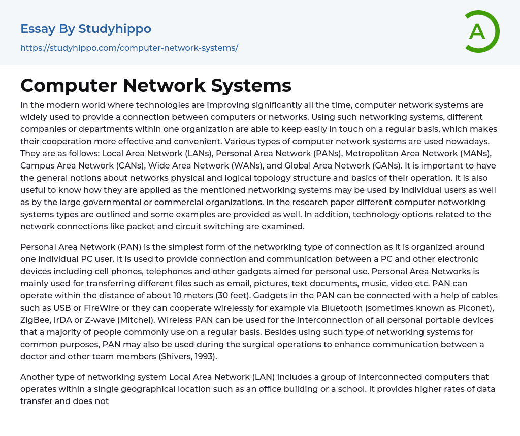 Computer Network Systems Essay Example