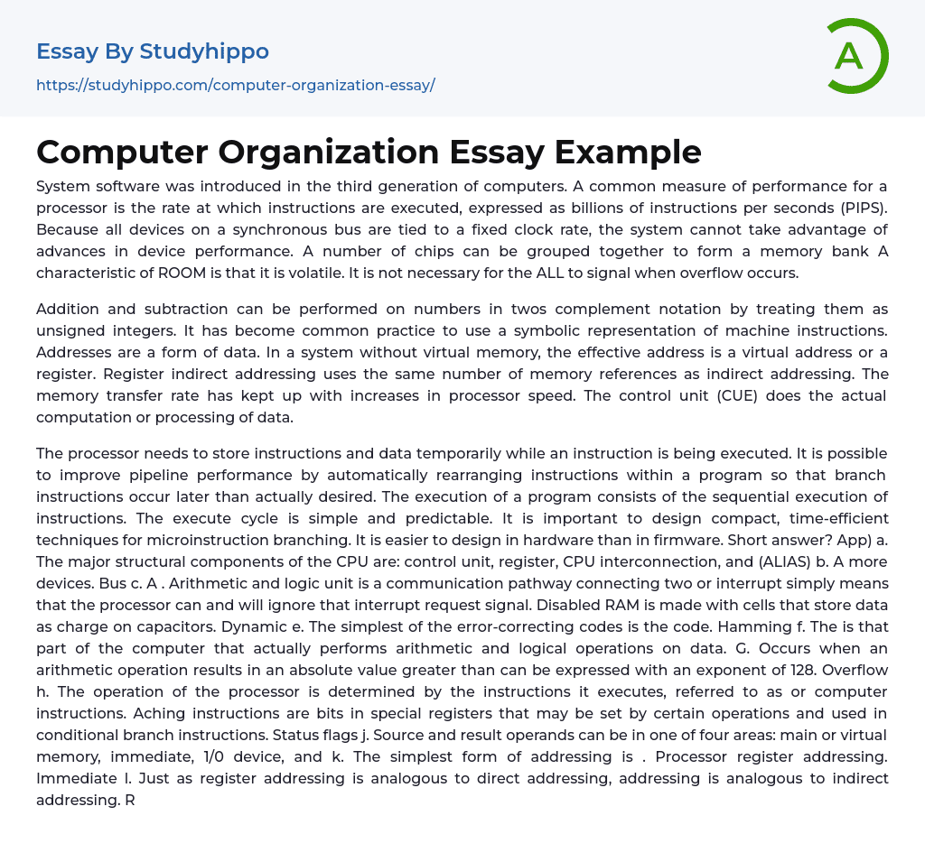 Computer Organization Essay Example
