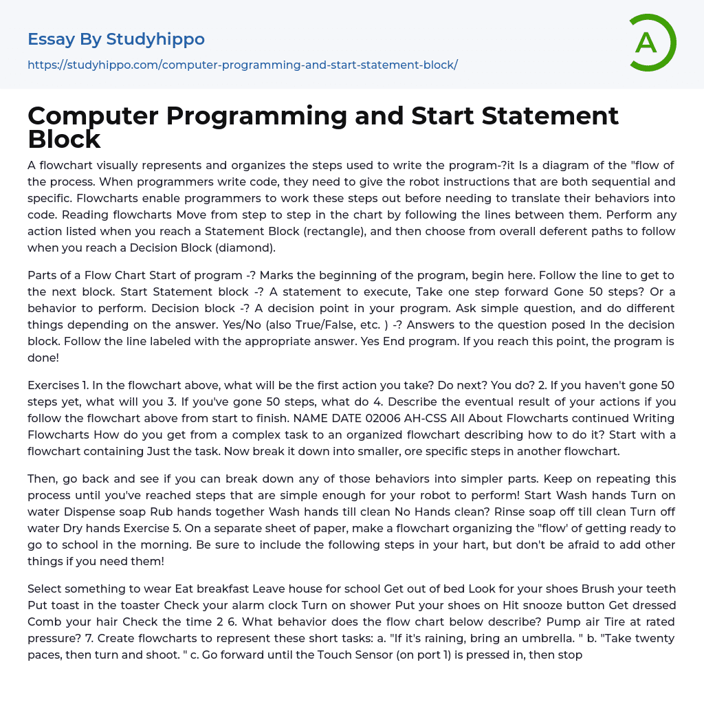 Computer Programming and Start Statement Block Essay Example