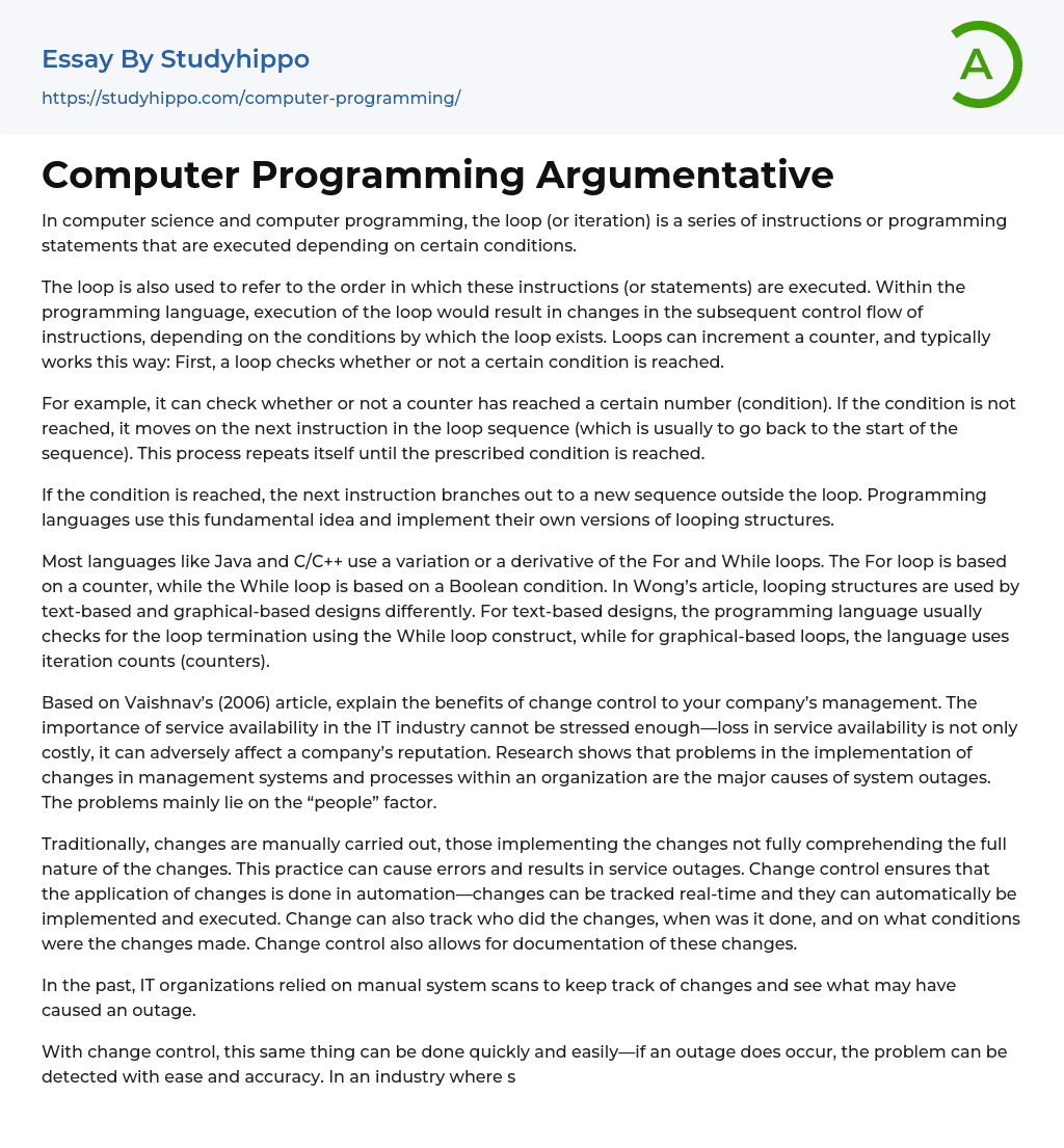 Computer Programming Argumentative Essay Example