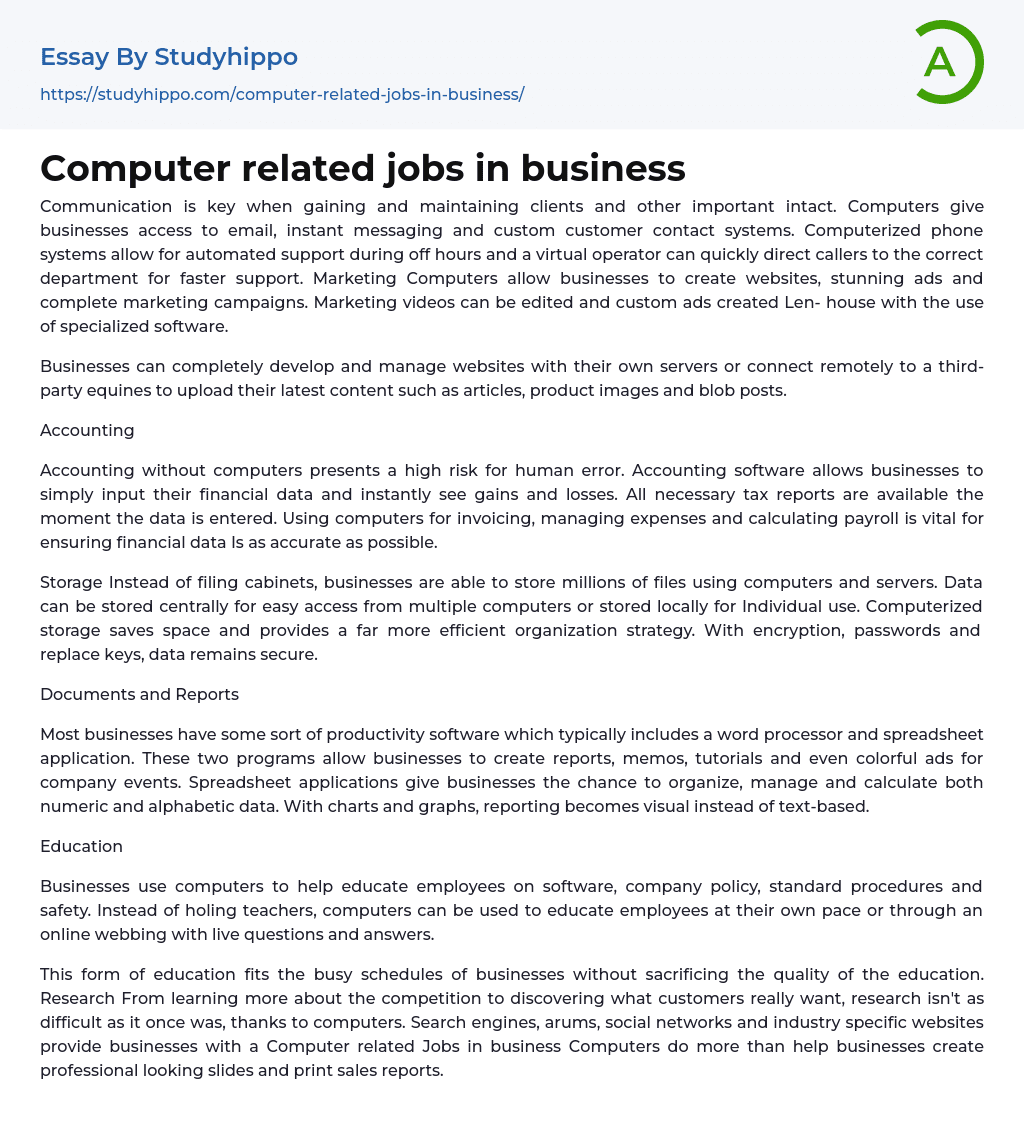 Computer related jobs in business Essay Example
