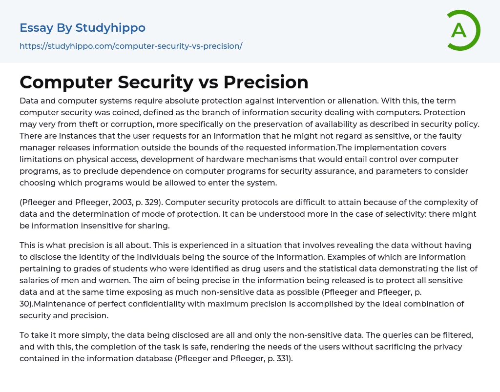 Computer Security vs Precision Essay Example