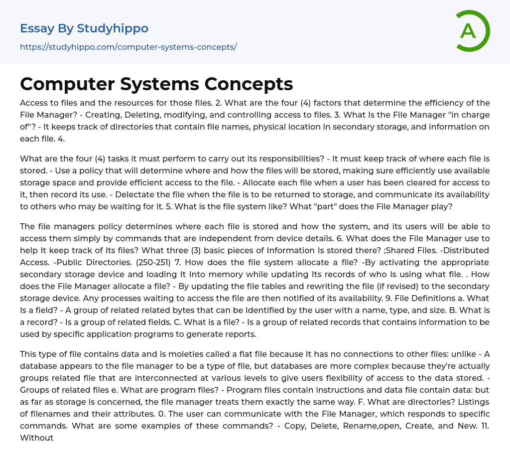 about computer system essay