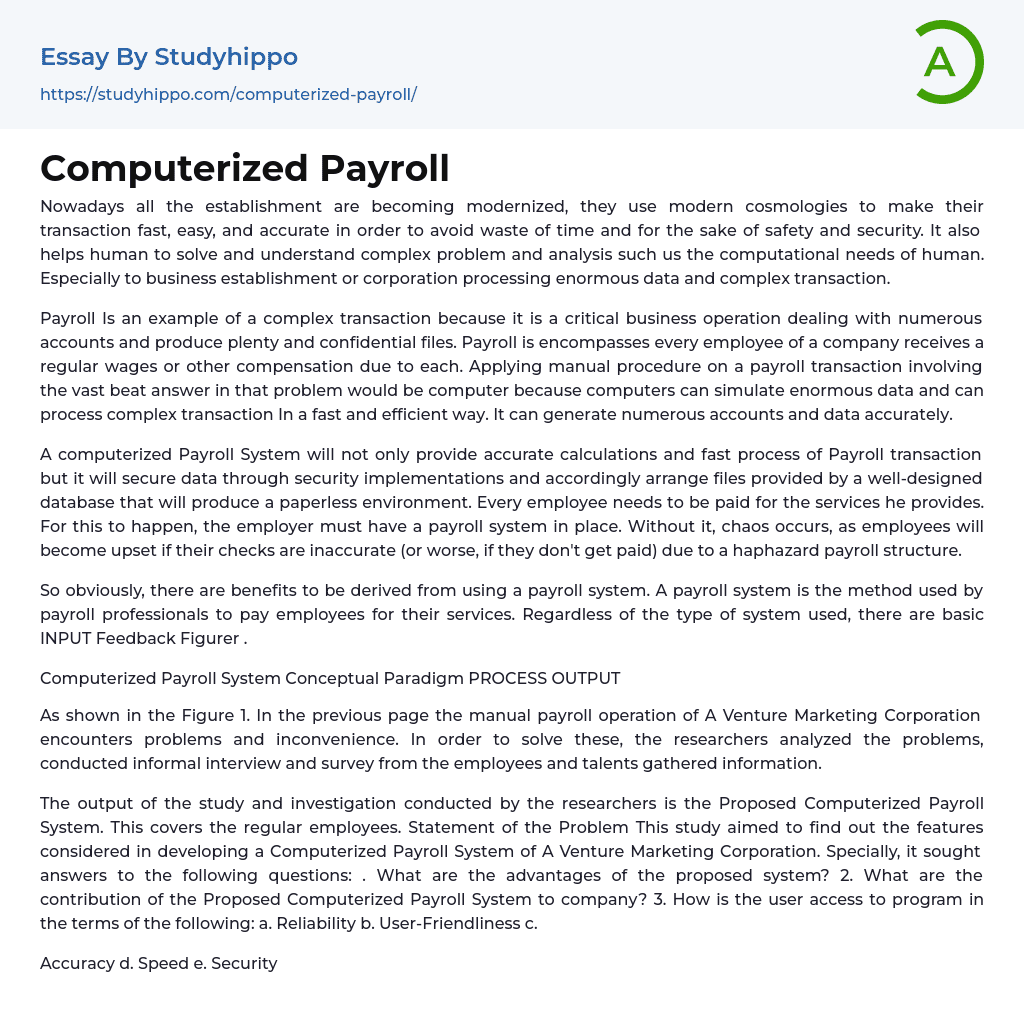 Computerized Payroll Essay Example