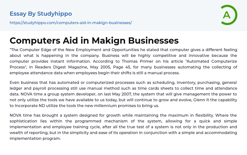 Computers Aid in Makign Businesses Essay Example