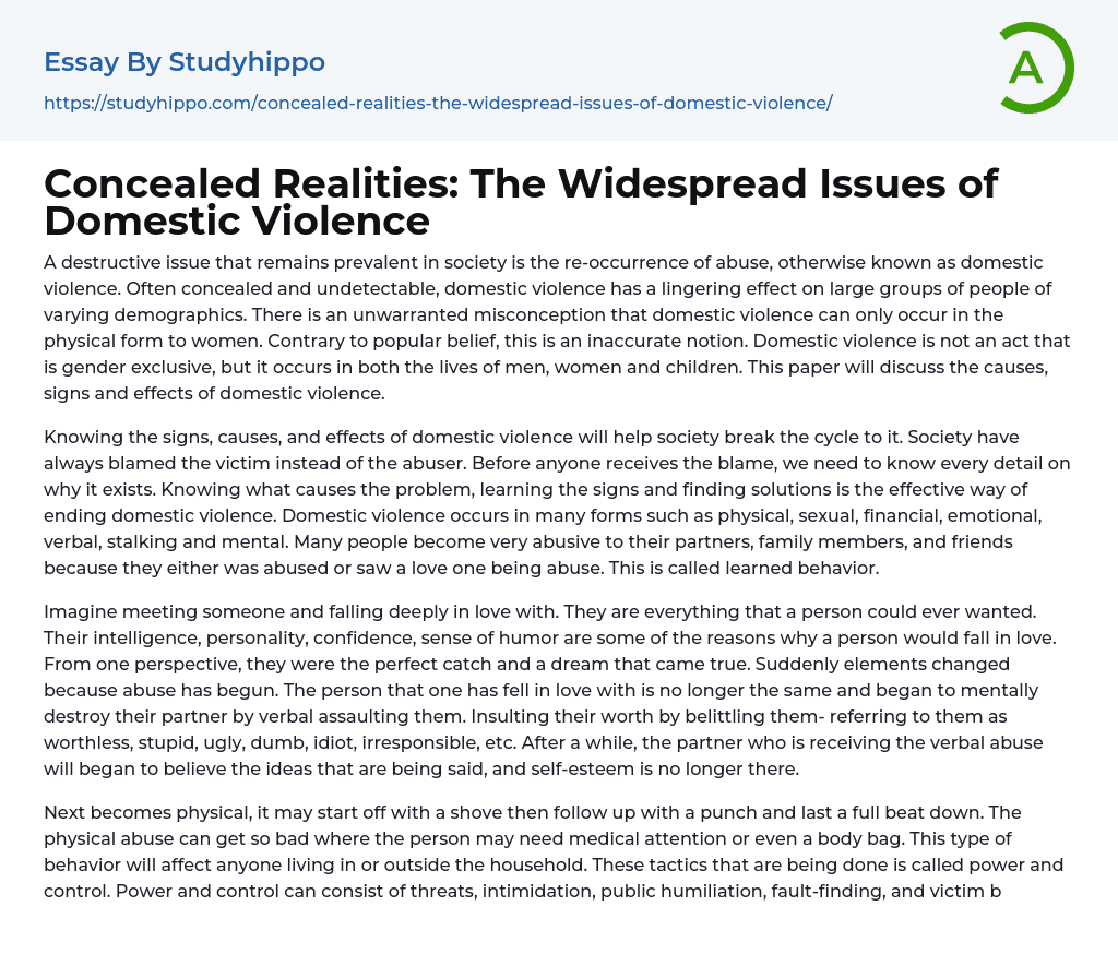 Concealed Realities: The Widespread Issues of Domestic Violence Essay Example