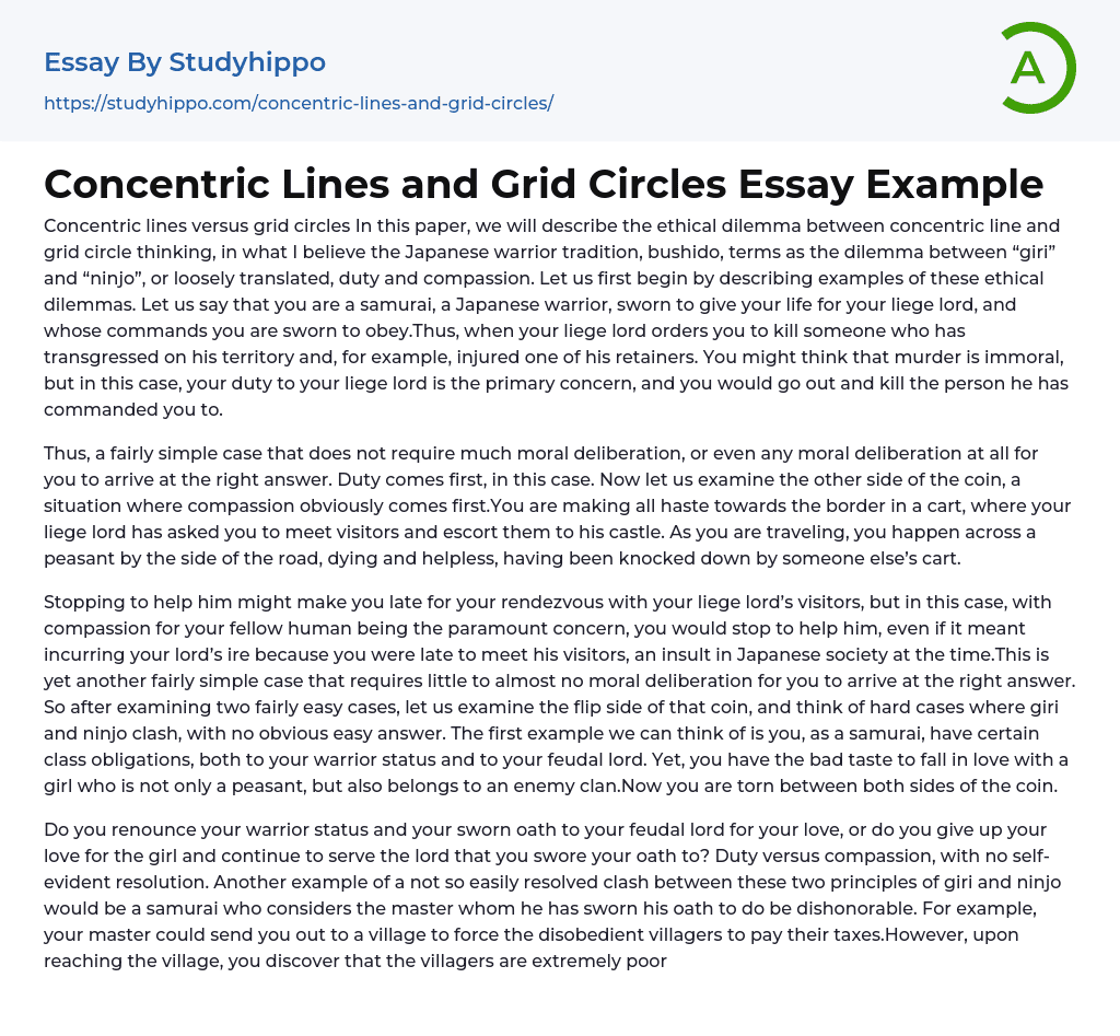 Concentric Lines and Grid Circles Essay Example