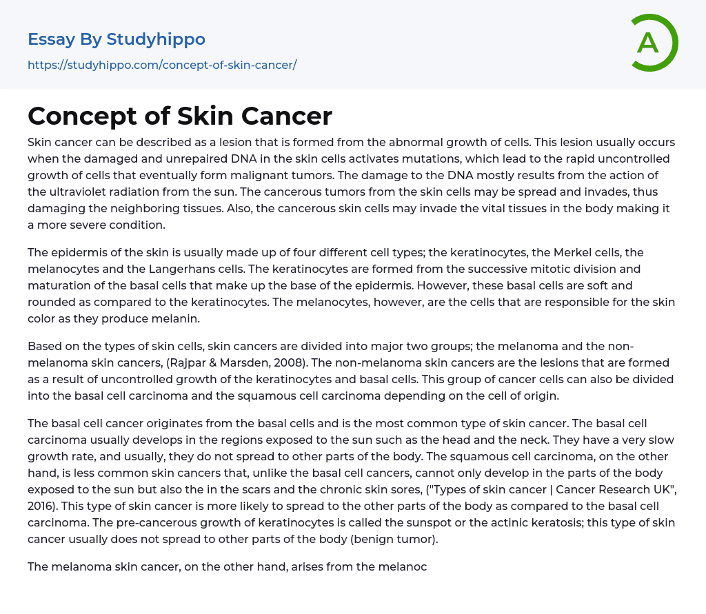 Concept of Skin Cancer Essay Example