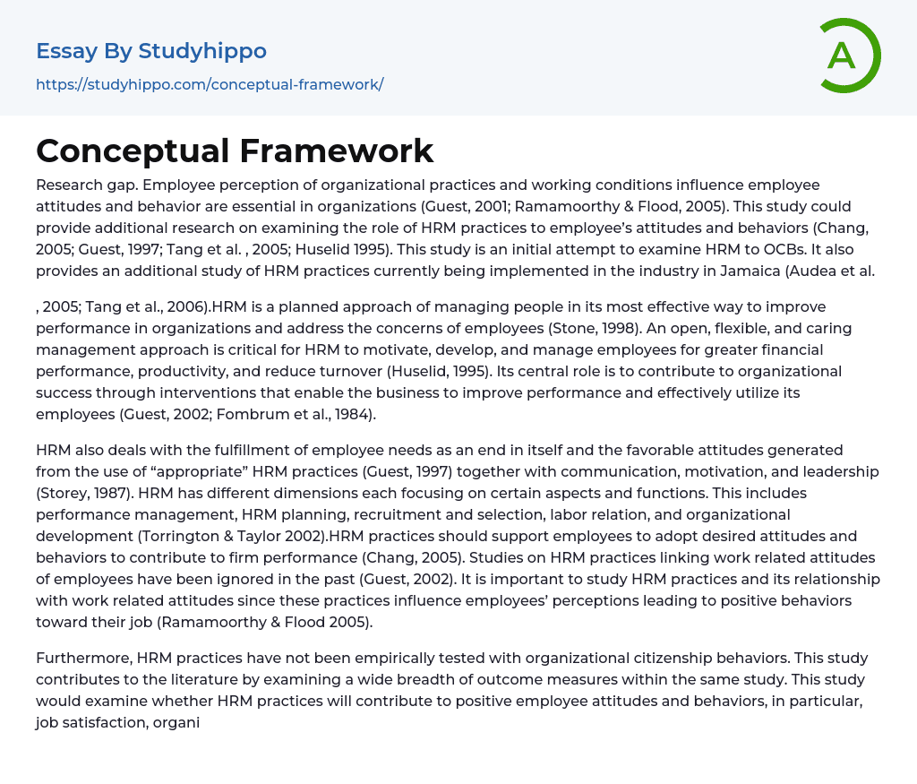 Conceptual Framework Essay Example