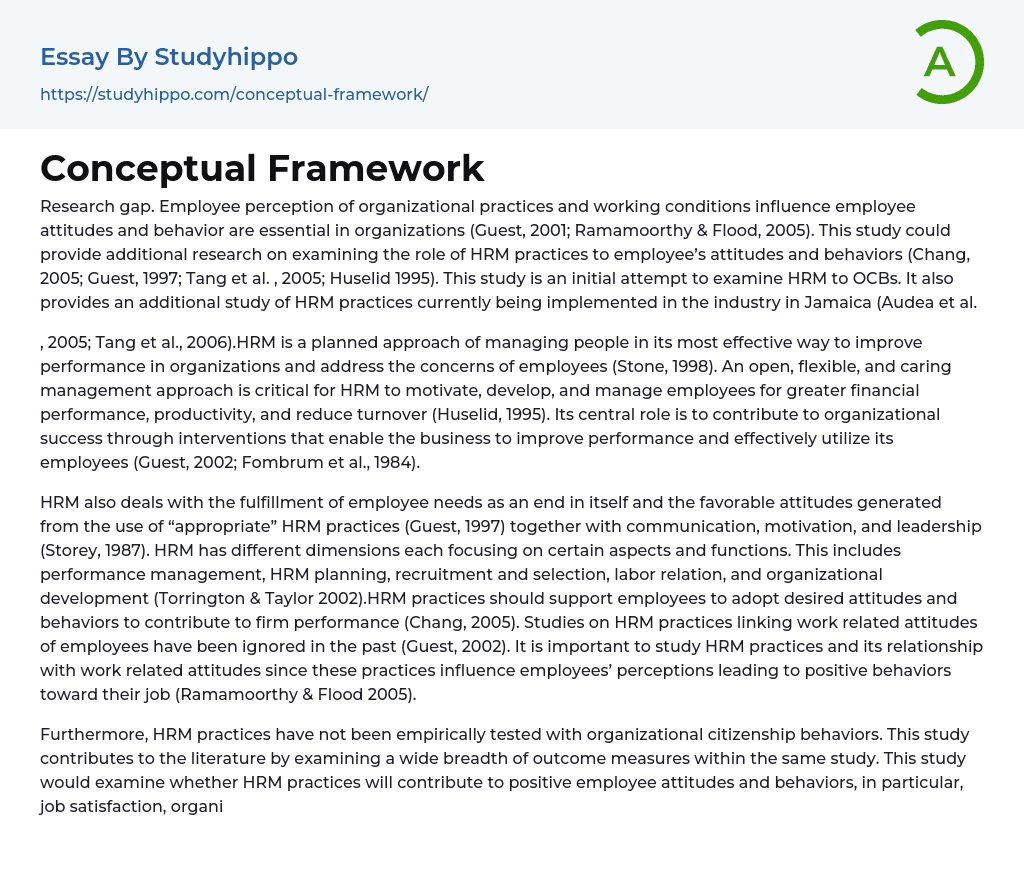 essay about conceptual framework