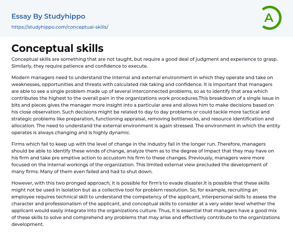 Conceptual skills Essay Example