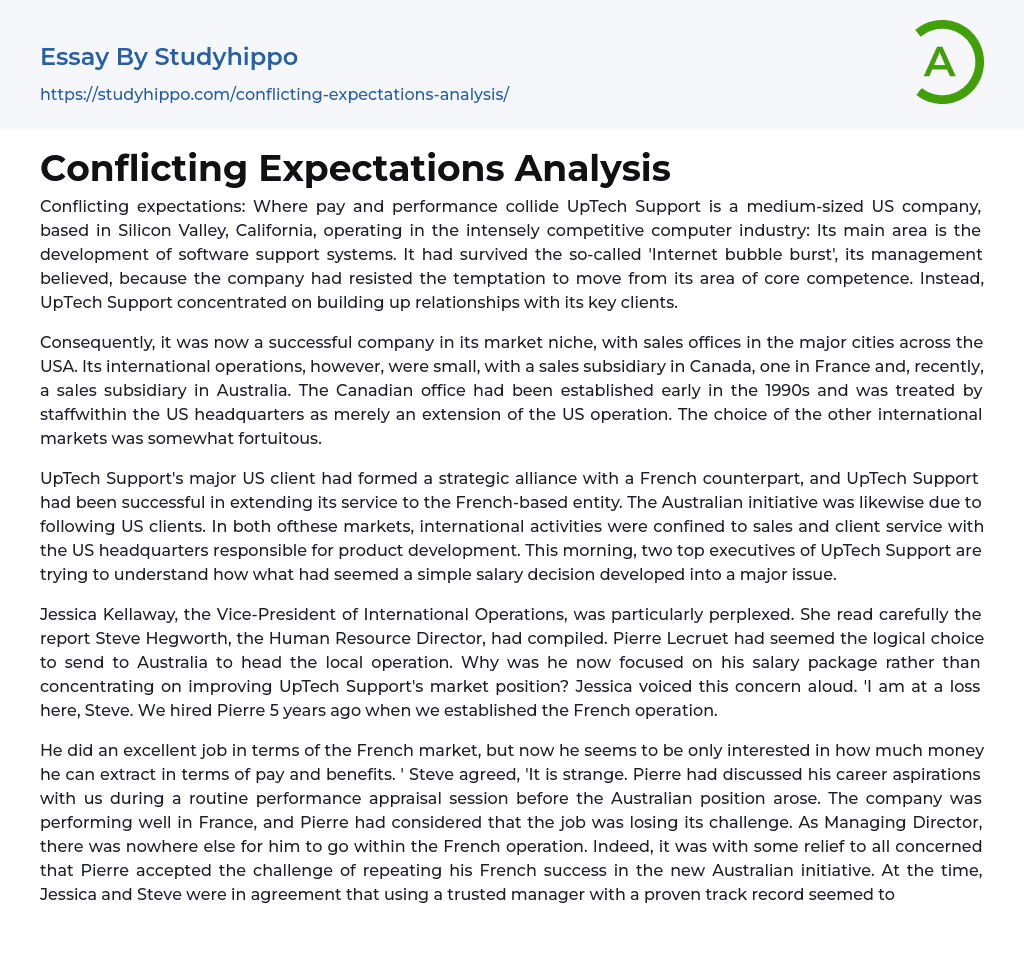 Conflicting Expectations Analysis Essay Example