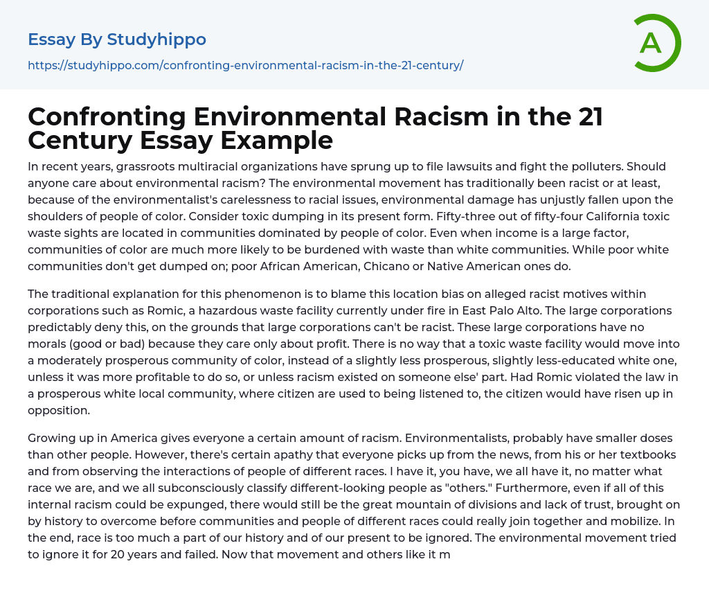 Confronting Environmental Racism in the 21 Century Essay Example