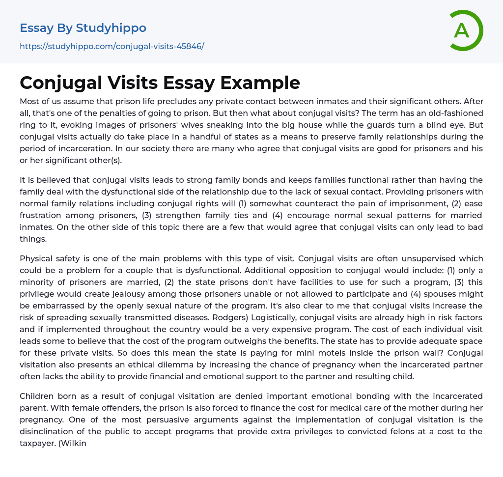 Conjugal Visits Essay Example