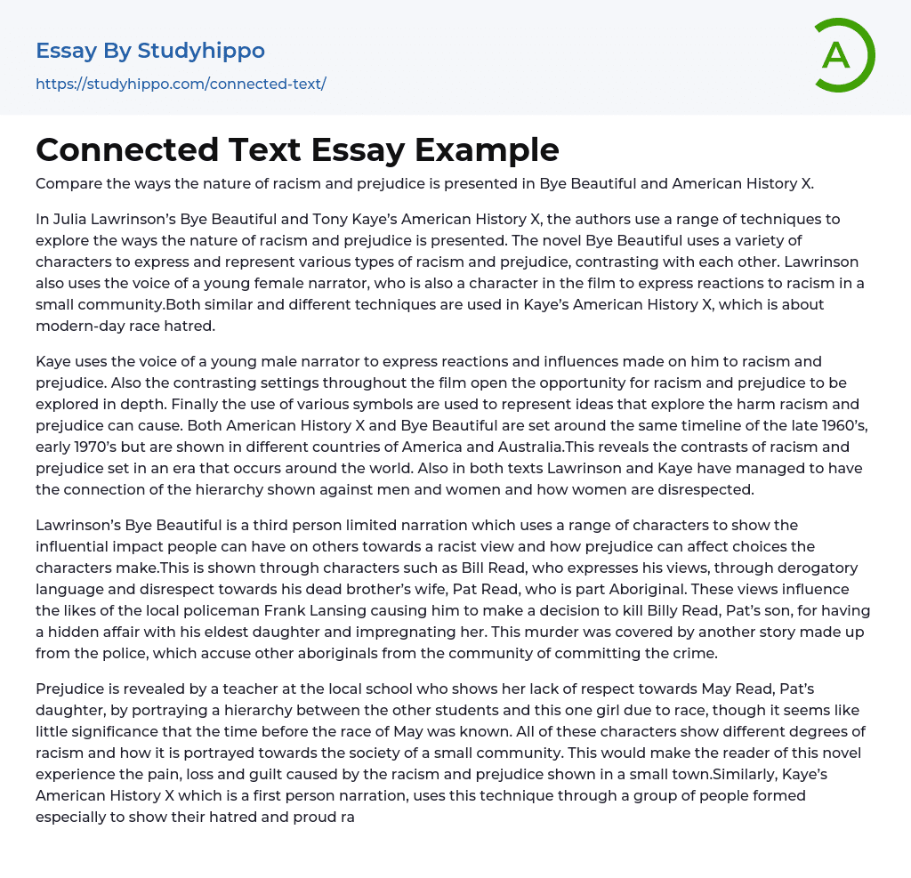 Connected Text Essay Example