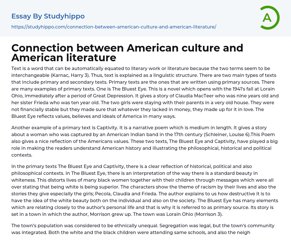 Connection between American culture and American literature Essay Example