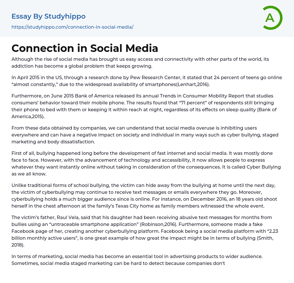 Connection in Social Media Essay Example