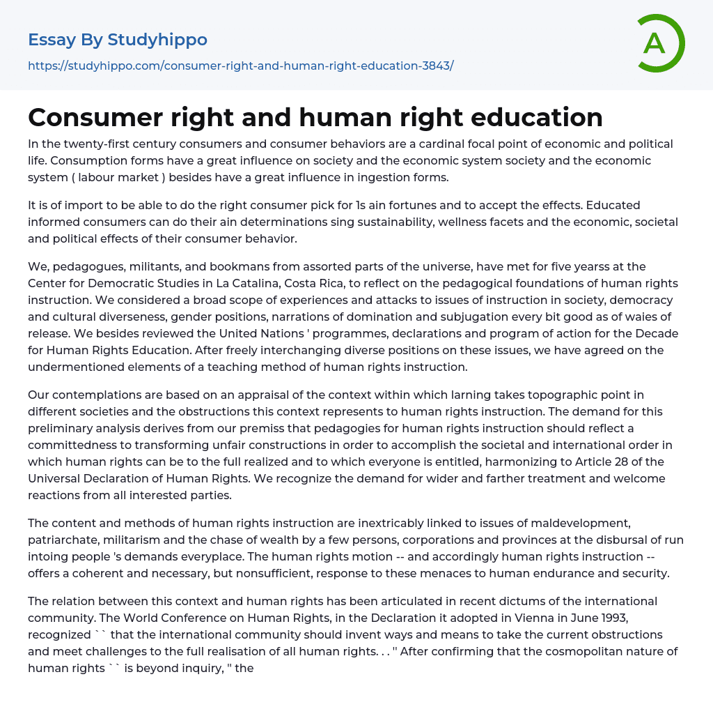 Consumer right and human right education Essay Example