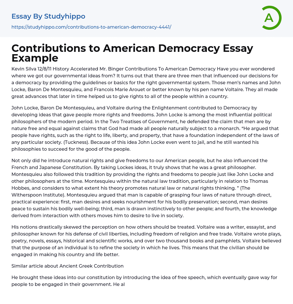 Contributions to American Democracy Essay Example