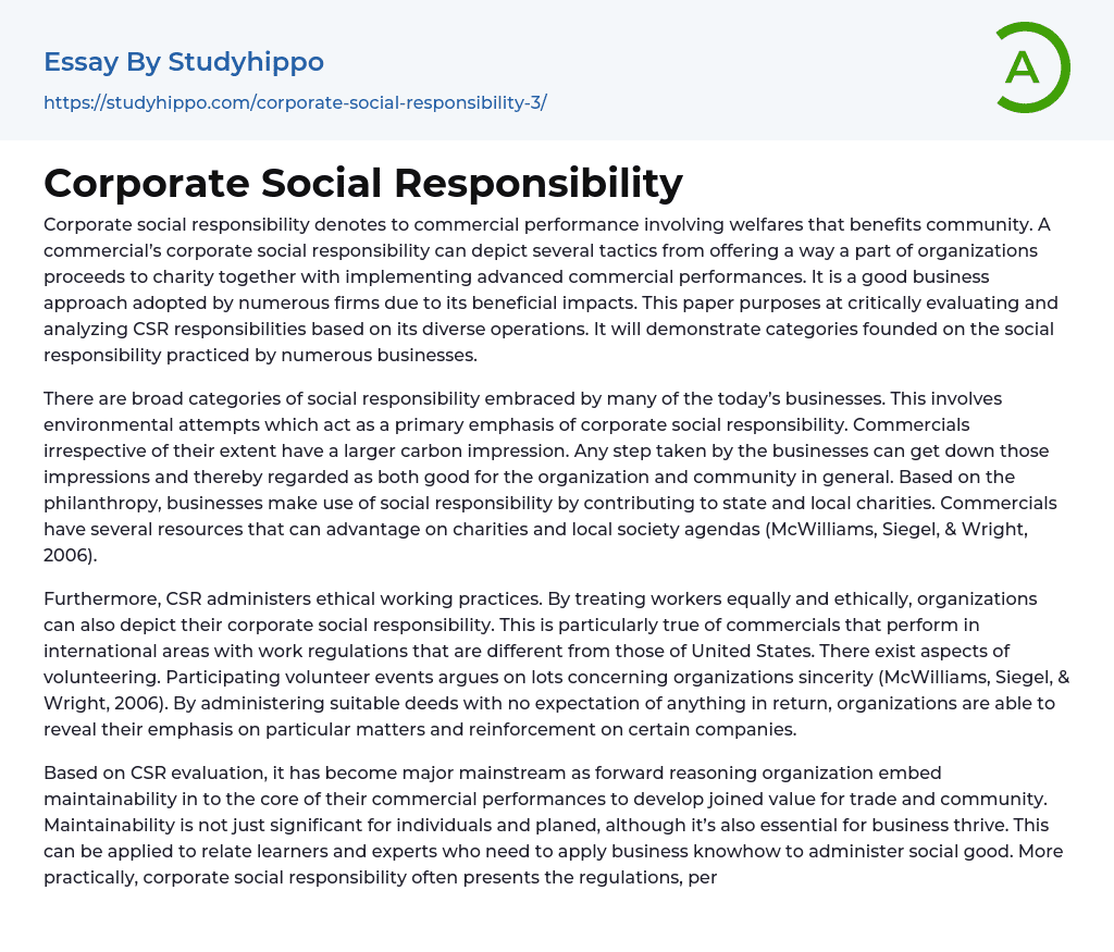 Corporate Social Responsibility Essay Example