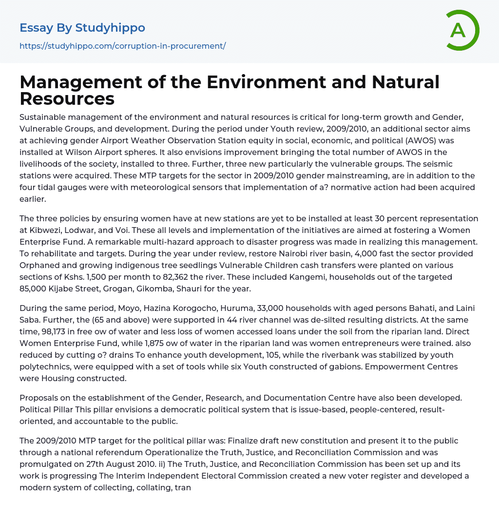Management of the Environment and Natural Resources Essay Example