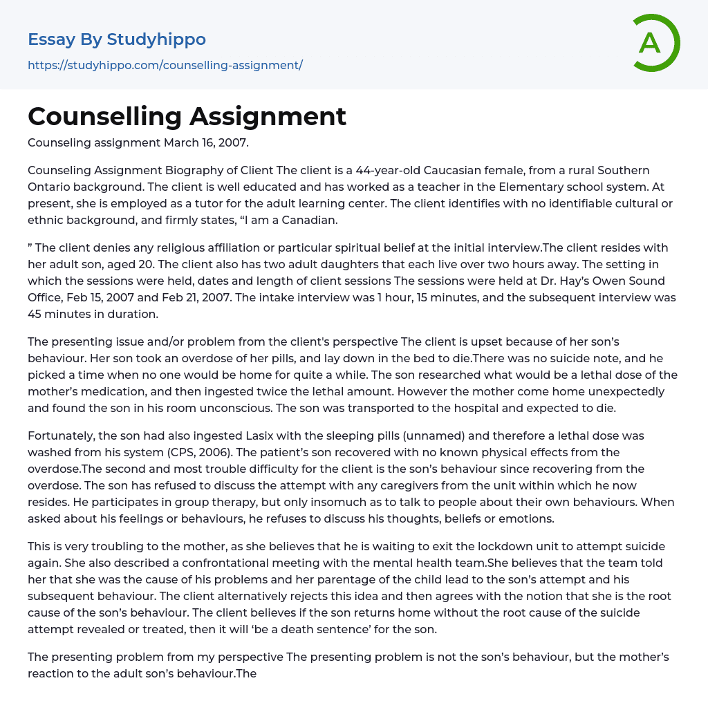 Counselling Assignment Essay Example