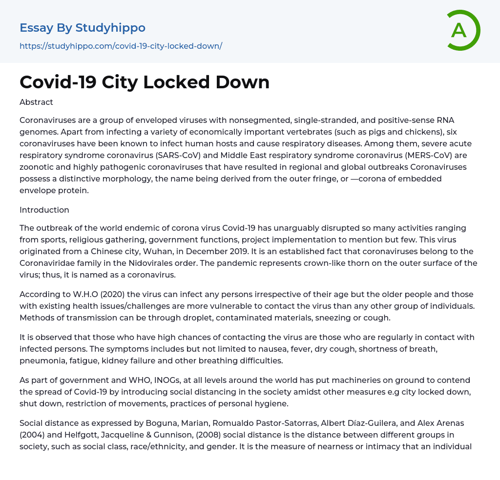 Covid-19 City Locked Down Essay Example