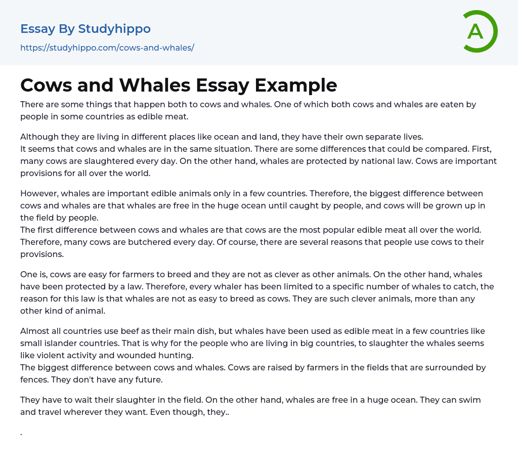 Cows and Whales Essay Example