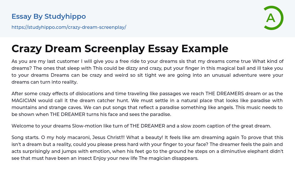 Crazy Dream Screenplay Essay Example