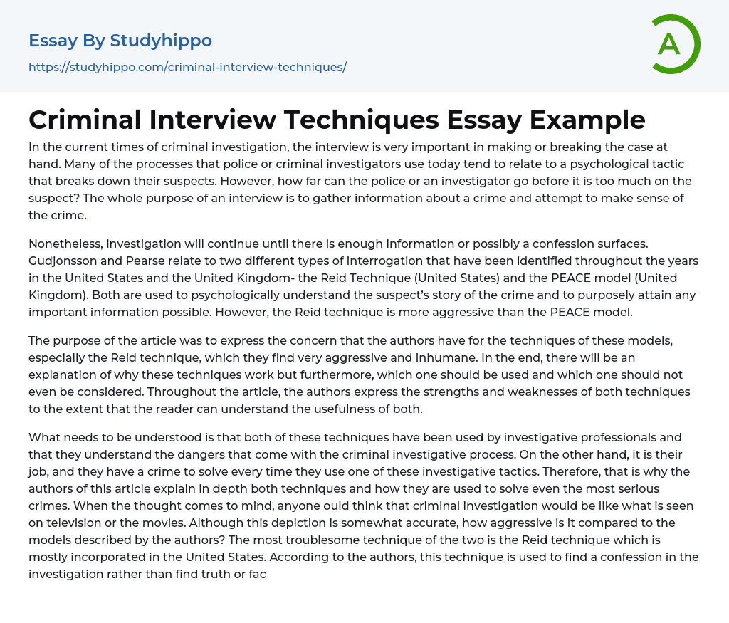 Criminal Interview Techniques Essay Example