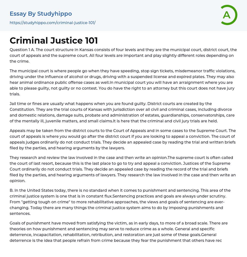 Criminal Justice 101 Essay Example