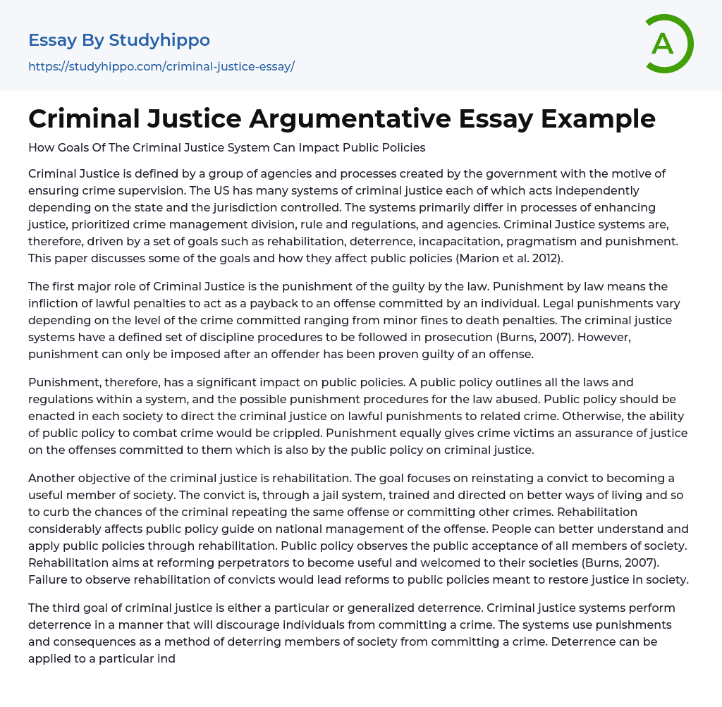 Criminal Justice Argumentative Essay Example