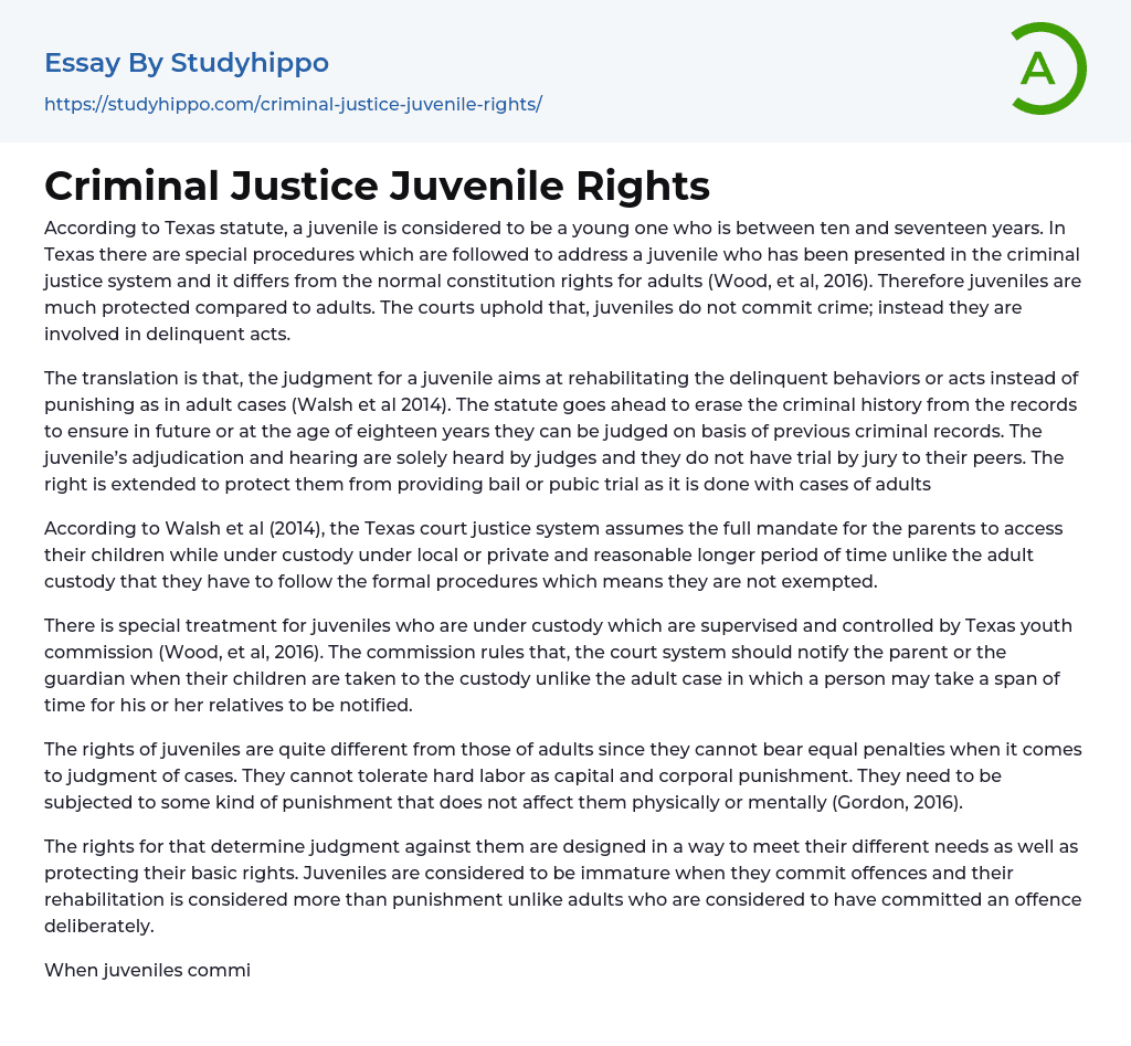 Criminal Justice Juvenile Rights Essay Example