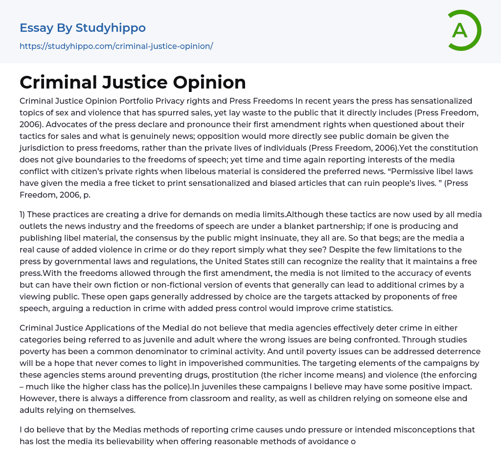 Criminal Justice Opinion Essay Example