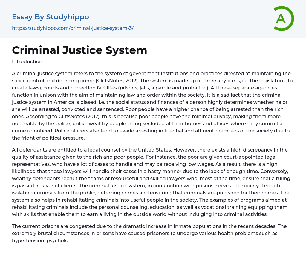 Criminal Justice System Essay Example