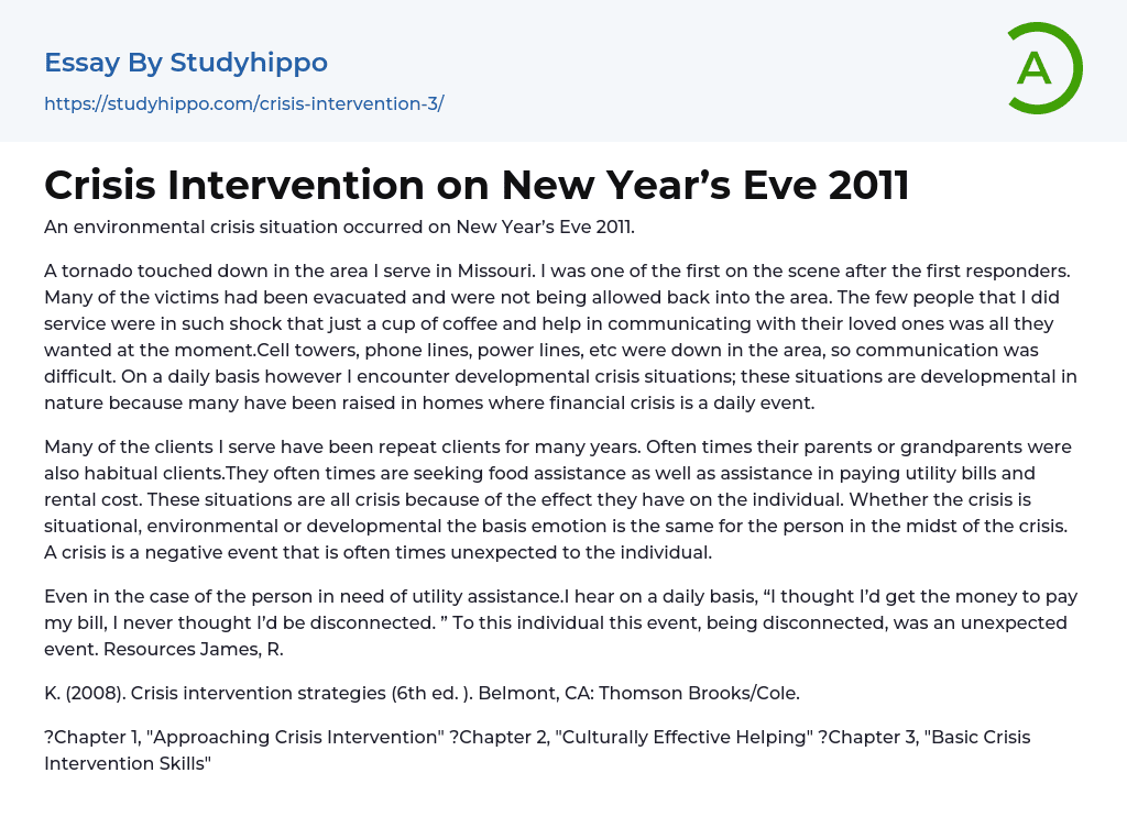 Crisis Intervention on New Year’s Eve 2011 Essay Example