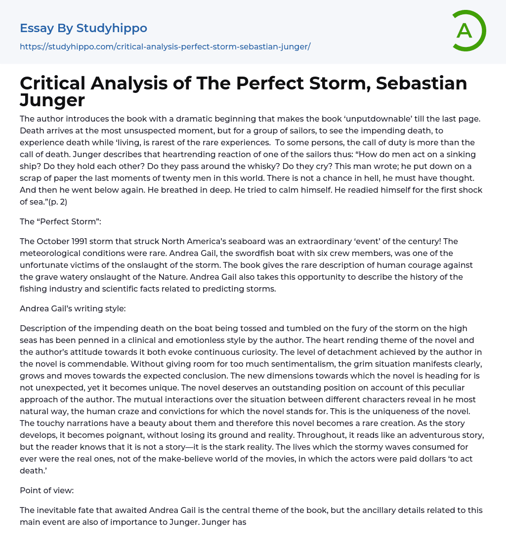 Critical Analysis of The Perfect Storm, Sebastian Junger Essay Example