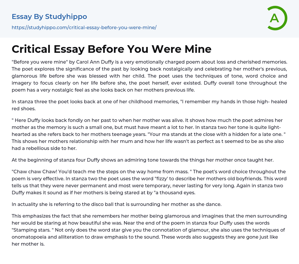 Critical Essay Before You Were Mine