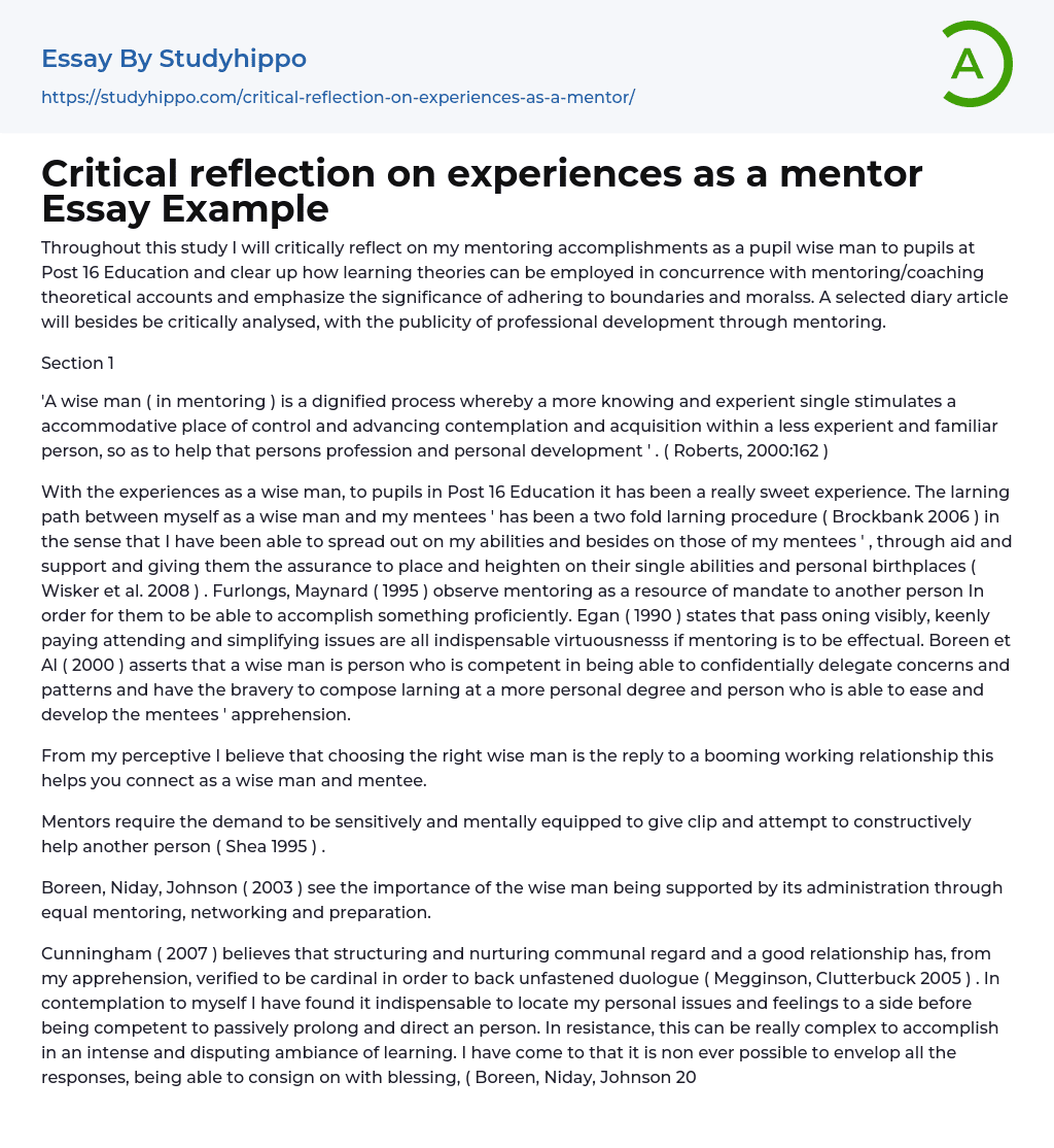 Critical reflection on experiences as a mentor Essay Example