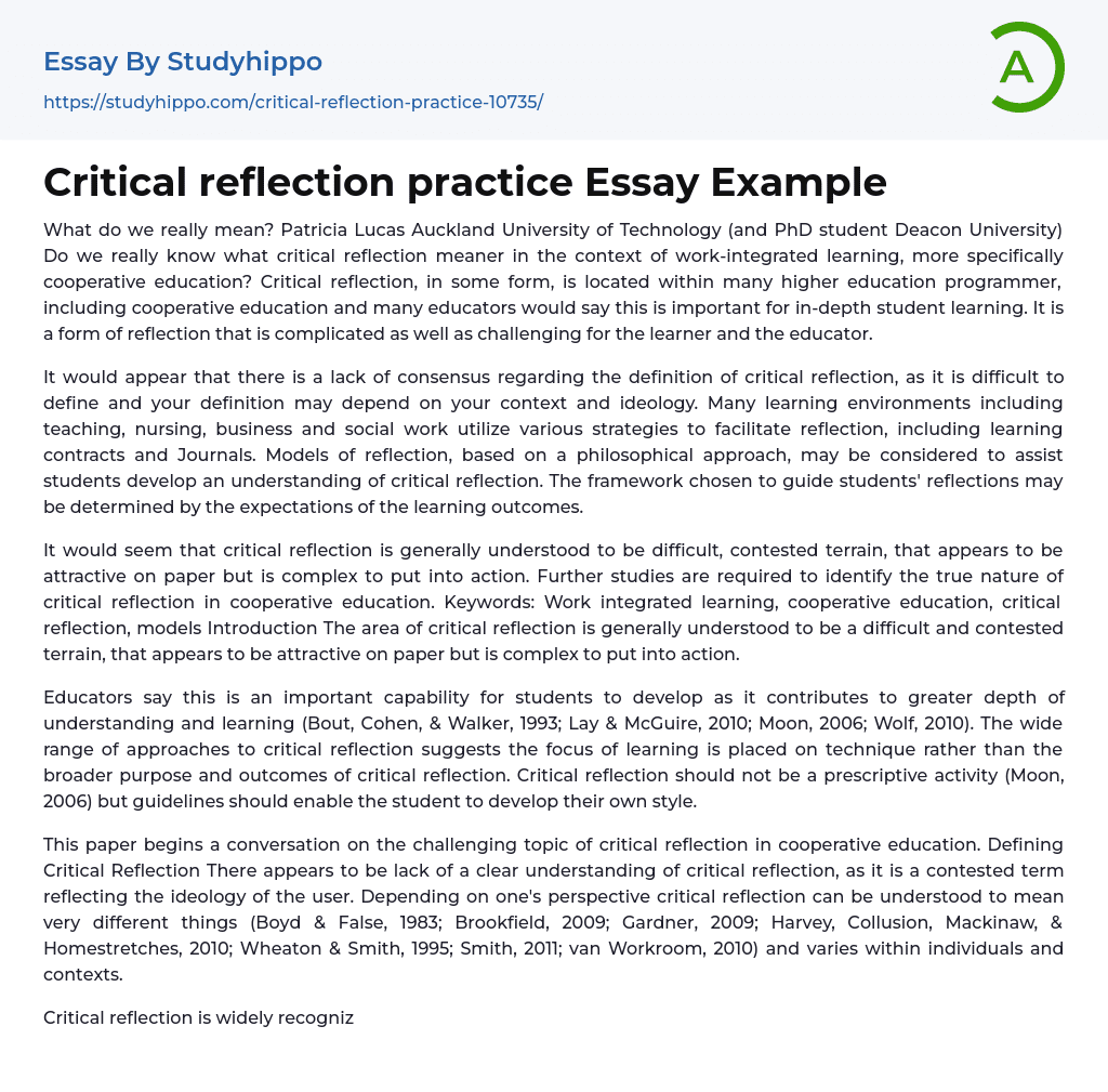 Critical reflection practice Essay Example