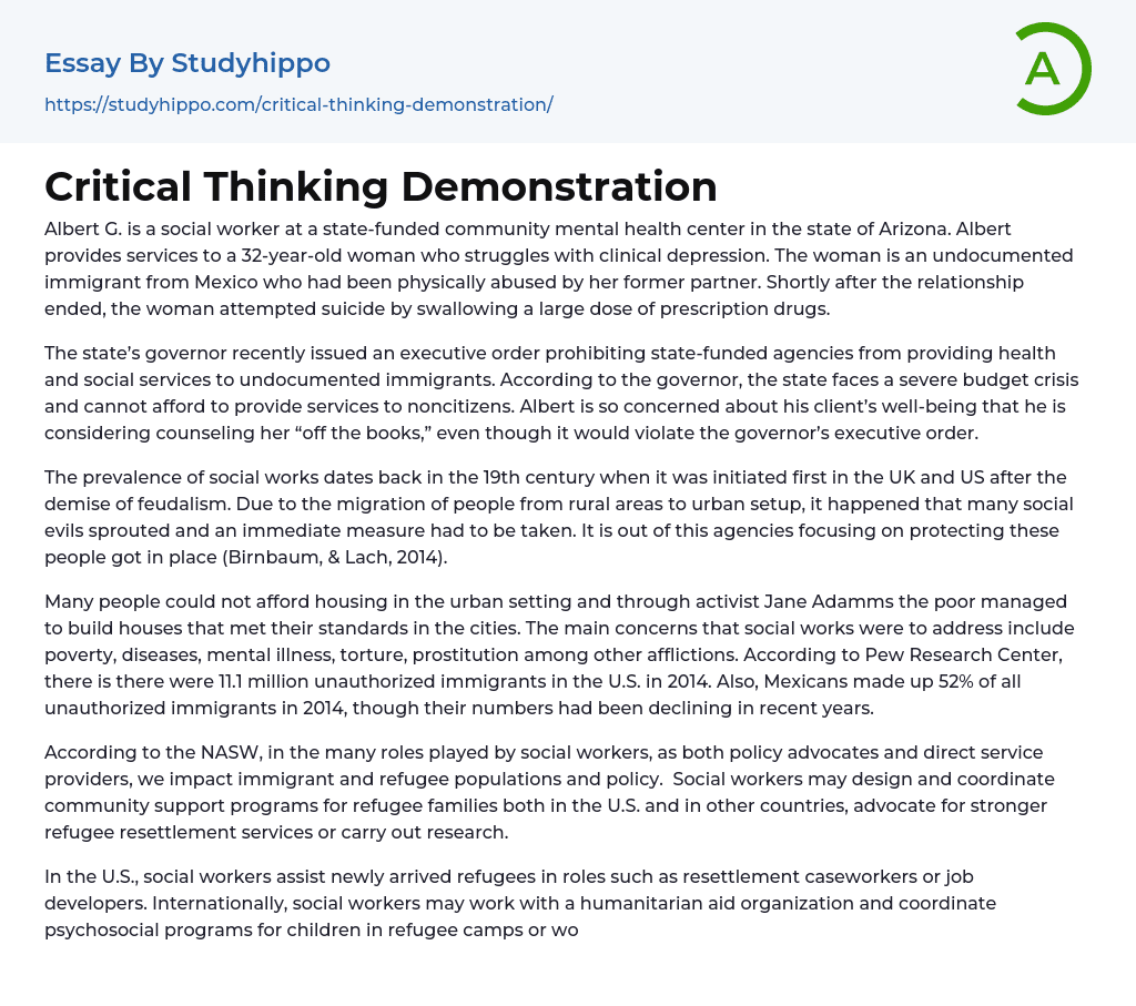 Critical Thinking Demonstration Essay Example