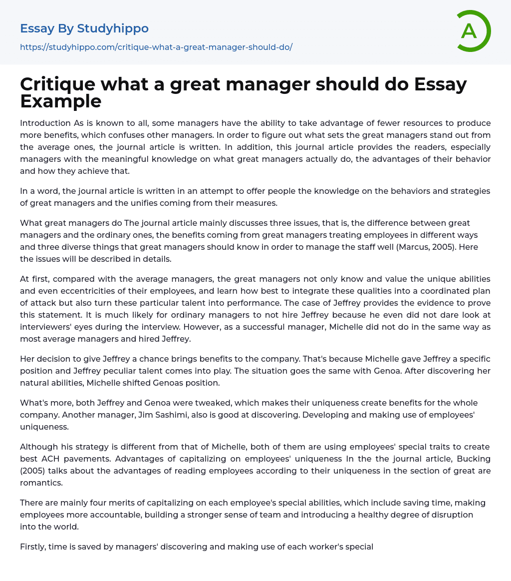Critique what a great manager should do Essay Example