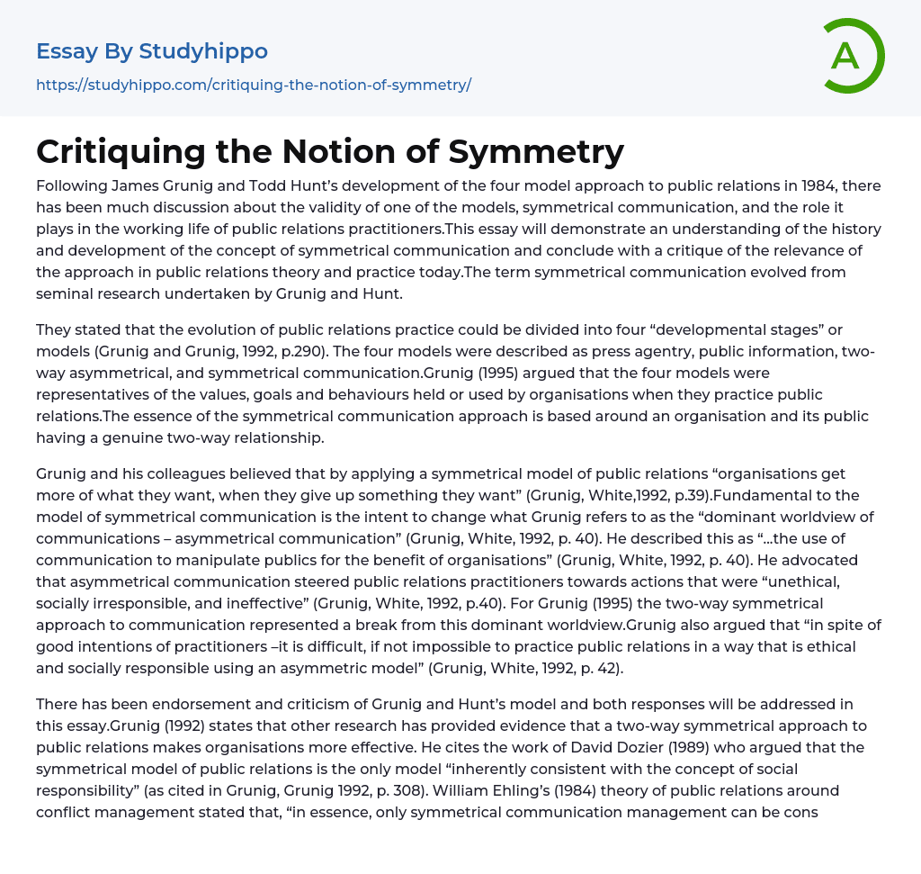 Critiquing the Notion of Symmetry Essay Example