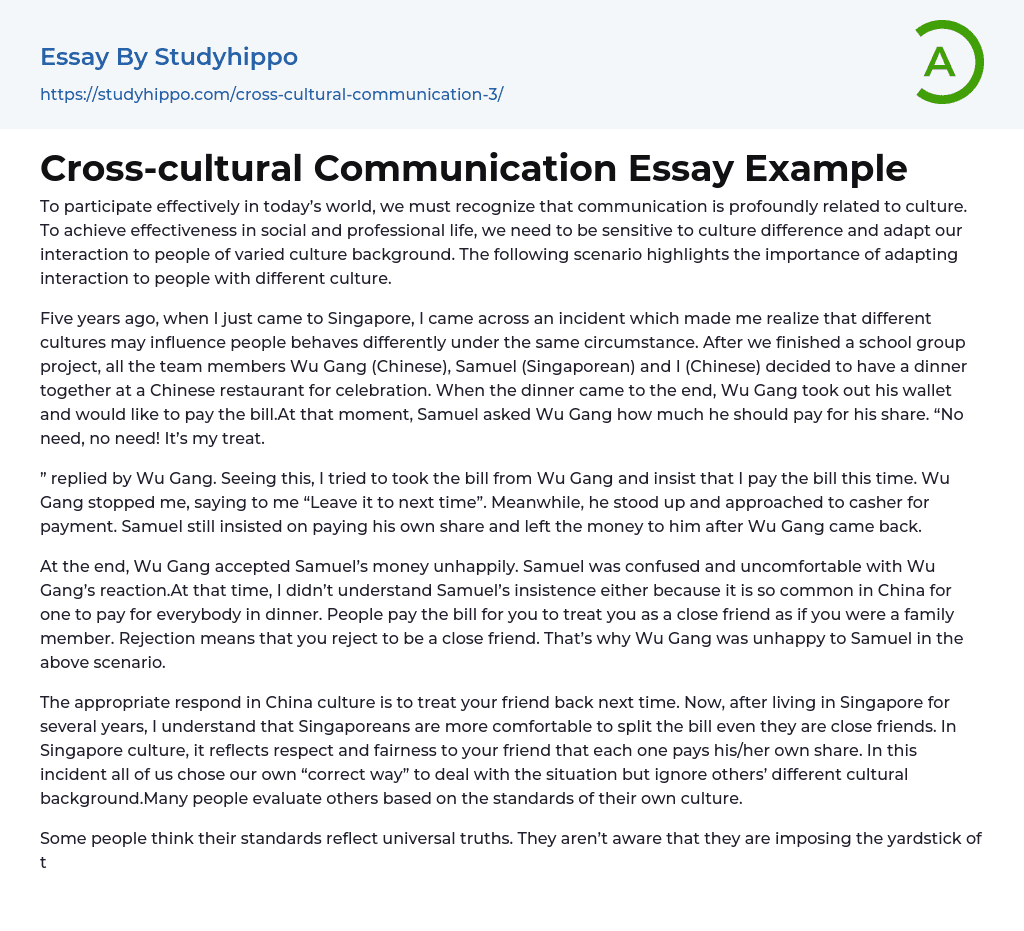 cross cultural experience essay example