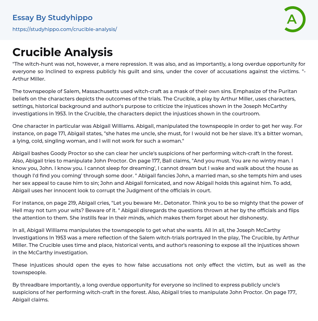 Crucible Analysis Essay Example