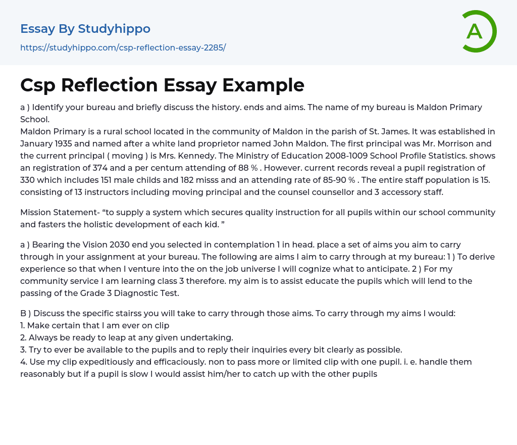 Csp Reflection Essay Example