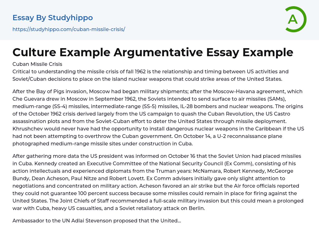 Culture Example Argumentative Essay Example