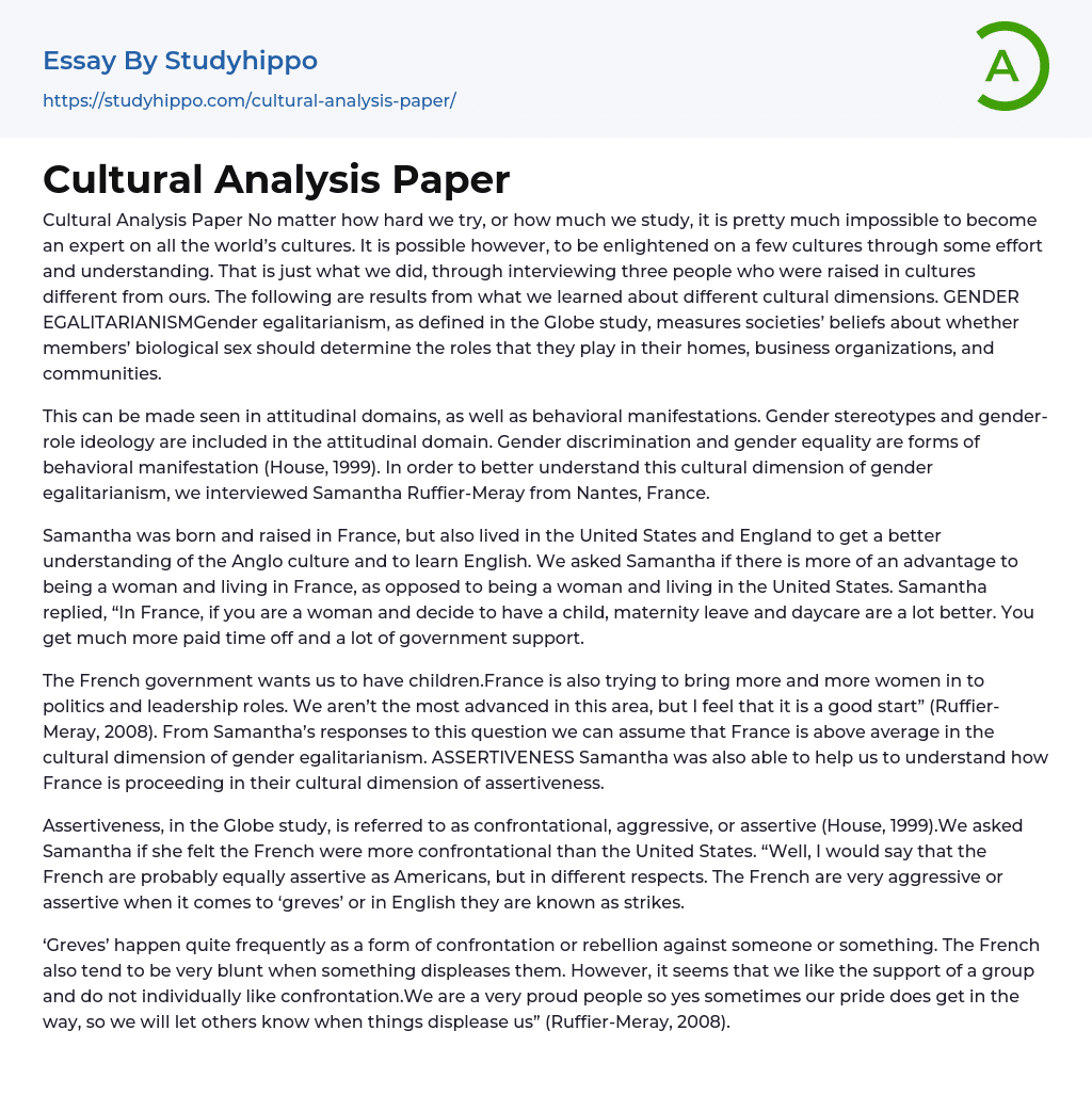 Cultural Analysis Paper Essay Example