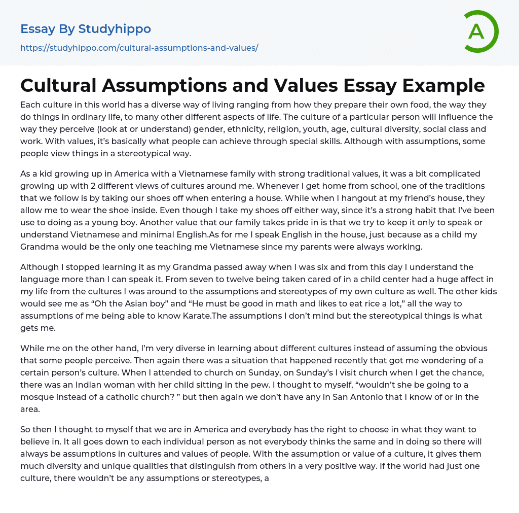 Cultural Assumptions and Values Essay Example