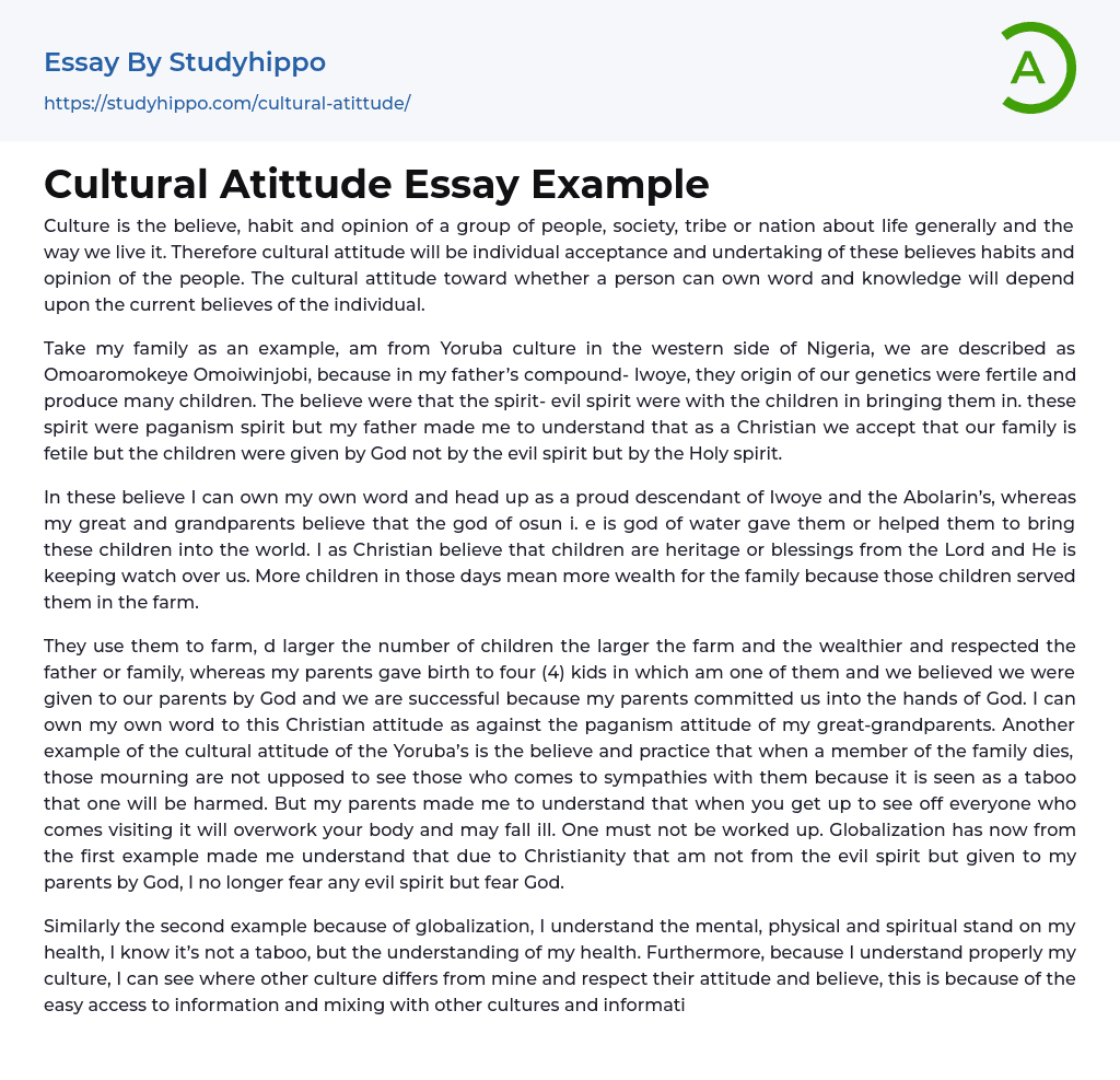 Cultural Atittude Essay Example